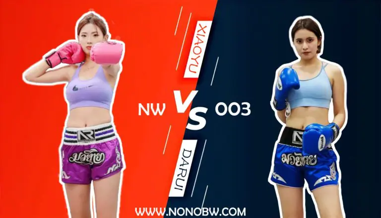 NW003-格斗艺术