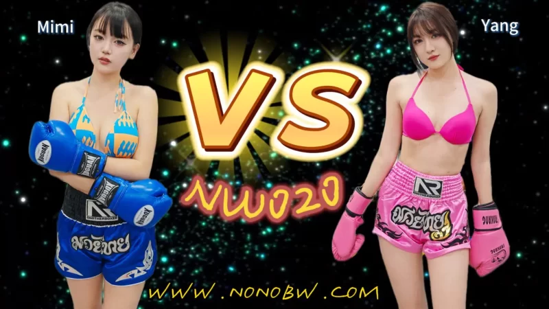 NW020-格斗艺术