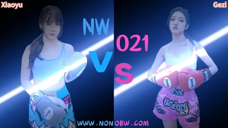 NW021-格斗艺术