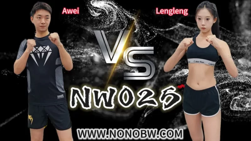 NW025-格斗艺术