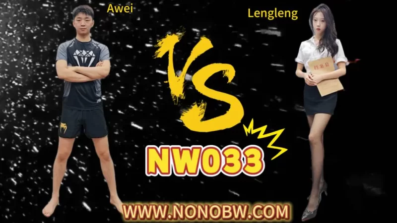 NW033-格斗艺术