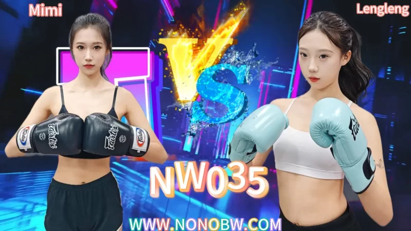 NW035-格斗艺术