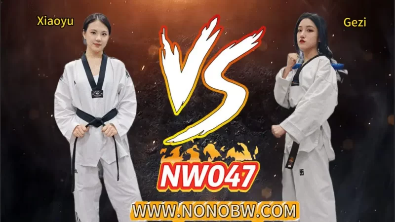 NW047-格斗艺术