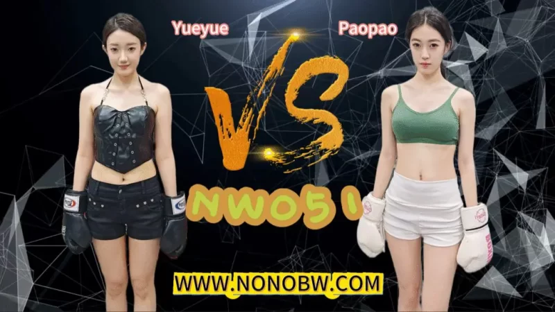 NW051-格斗艺术