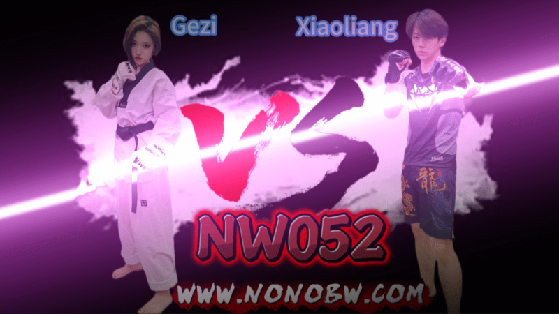 NW052-格斗艺术
