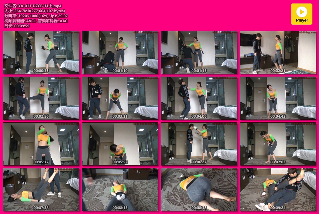 YA-011-DZCB-11上