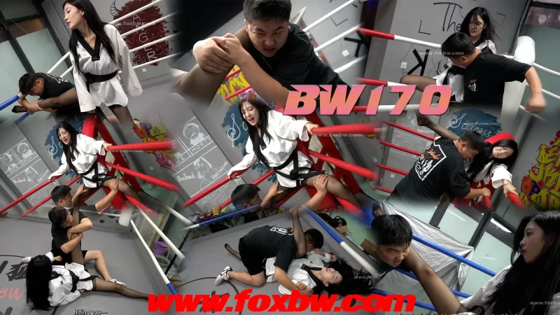 BW170-格斗艺术