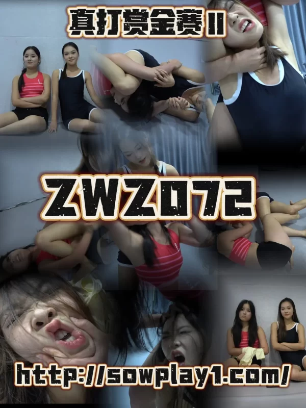 Z072 xiaojing VS xiaozuo-格斗艺术