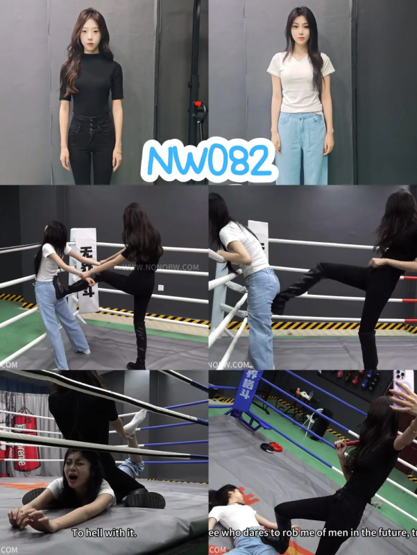 NW082-格斗艺术
