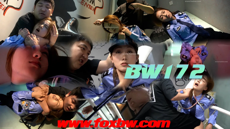 bw-172-格斗艺术