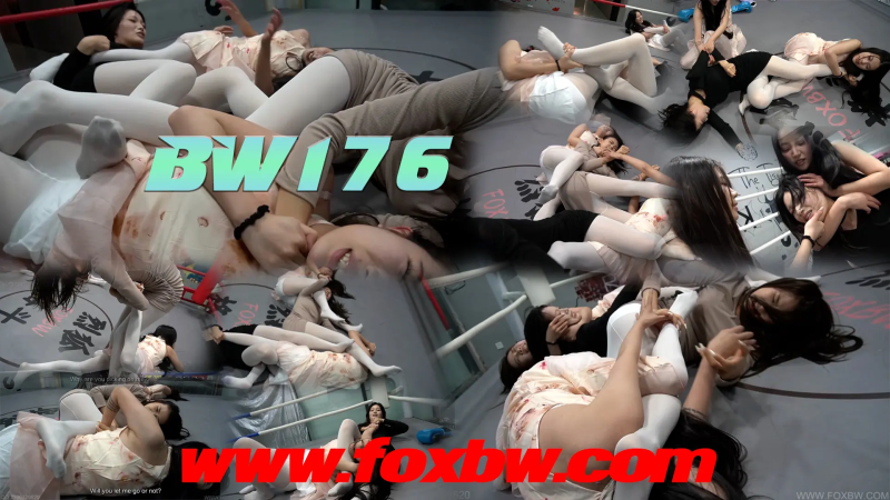 bw-176-格斗艺术