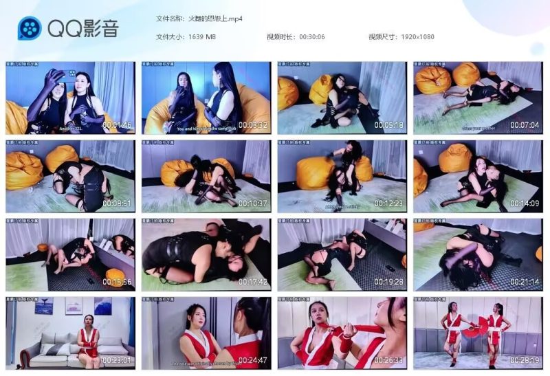 火舞的恩怨上-格斗艺术