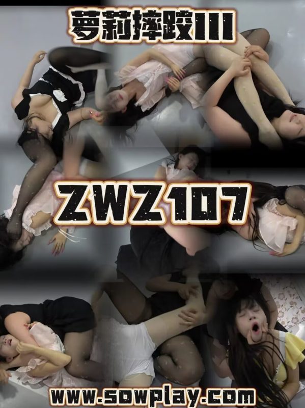 Z107 fuyao VS kuun-格斗艺术